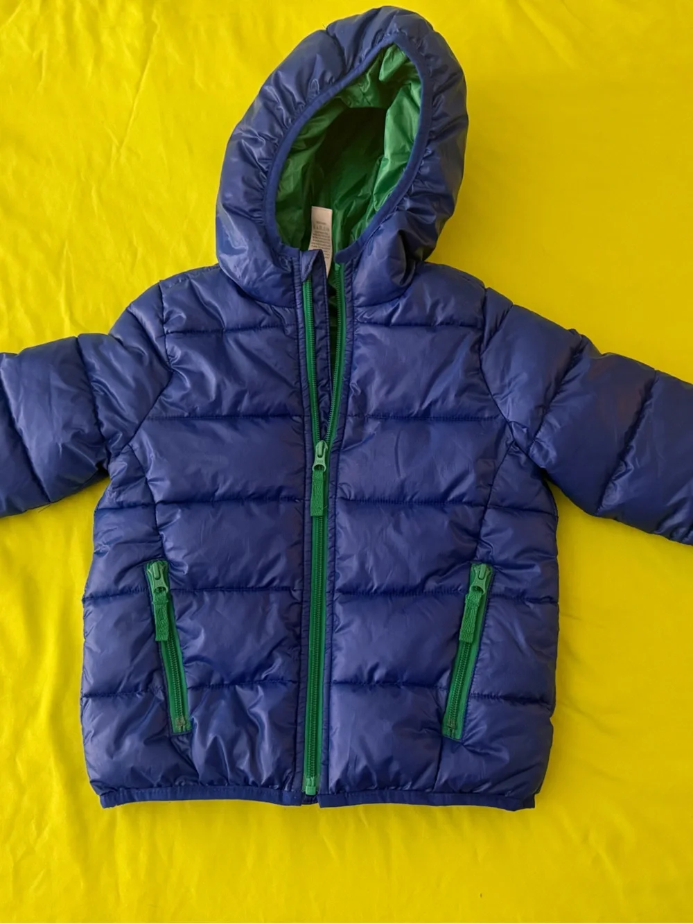 Gymboree Blue Jacket with Green Lining and Trim